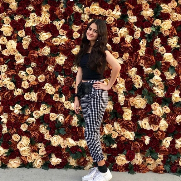 Hollister Gingham Checkered Pants - Picture 2 of 3